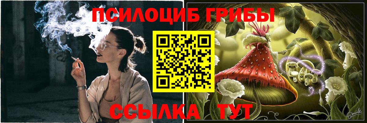 Псилоцибиновые грибы мицелий Магнитогорск
