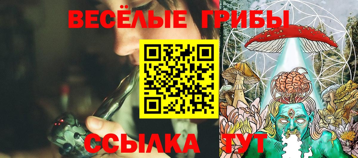 Магнитогорск  Галлюциногенные грибы GOLDEN TEACHER  Вход с VPN 